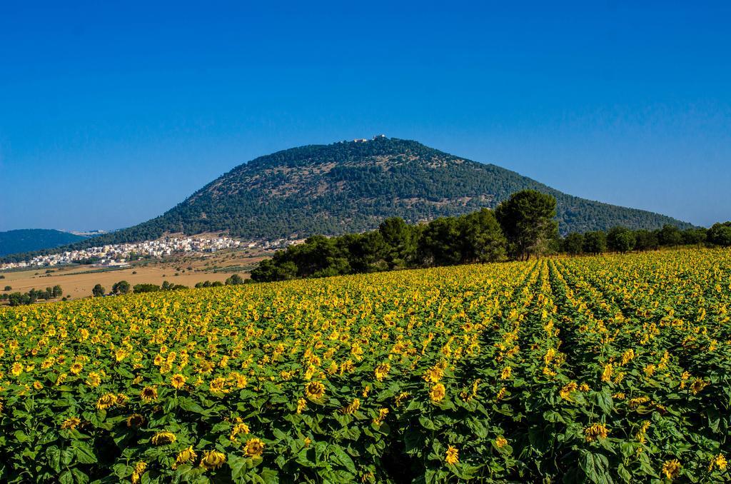 Galilee Best Location 'En Dor Buitenkant foto